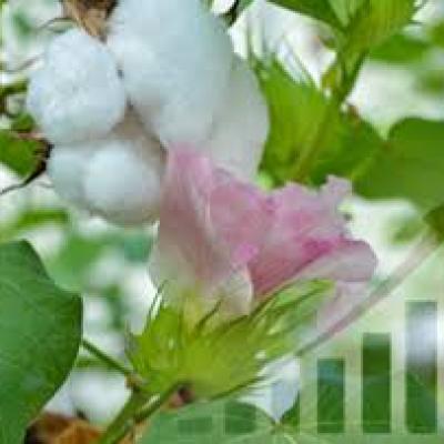 आमतौर पर ऐसा माना जाता है